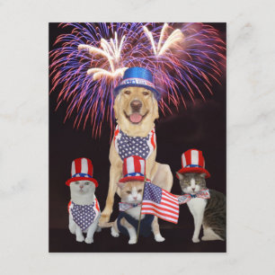 Animaux de compagnie amusants 4 juillet Invitation