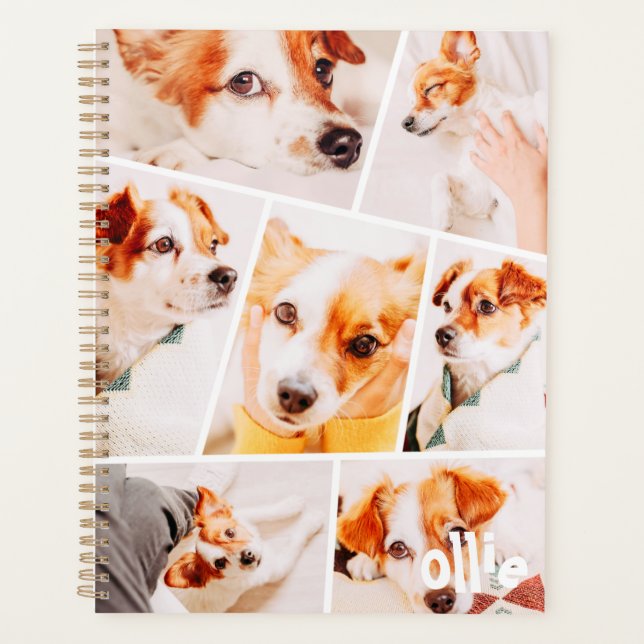 Animaux de compagnie Moderne Simple Personnalisé 7 (Devant)