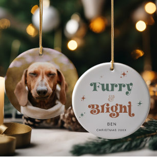 Animaux de Noël Ornement Photo Chien Furry & Brigh