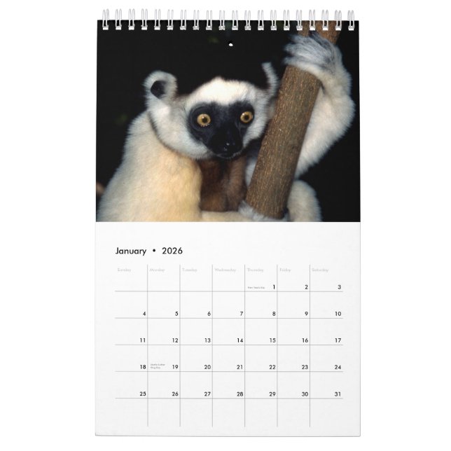 ANIMAUX du calendrier 2015 1-Pg. de l'Afrique (Jan 2026)