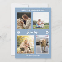 Animaux Faire-part Nouveau Fourrure bébé Photo Dus