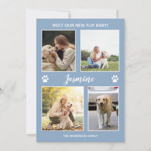 Animaux Faire-part Nouveau Fourrure bébé Photo Dus