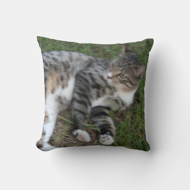 Animaux familiers de coussin (Recto)