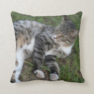 Animaux familiers de coussin