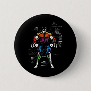 Anime Anatomie Muskel Diagramm Button