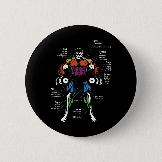 Anime Anatomie Muskel Diagramm Button (Vorderseite)
