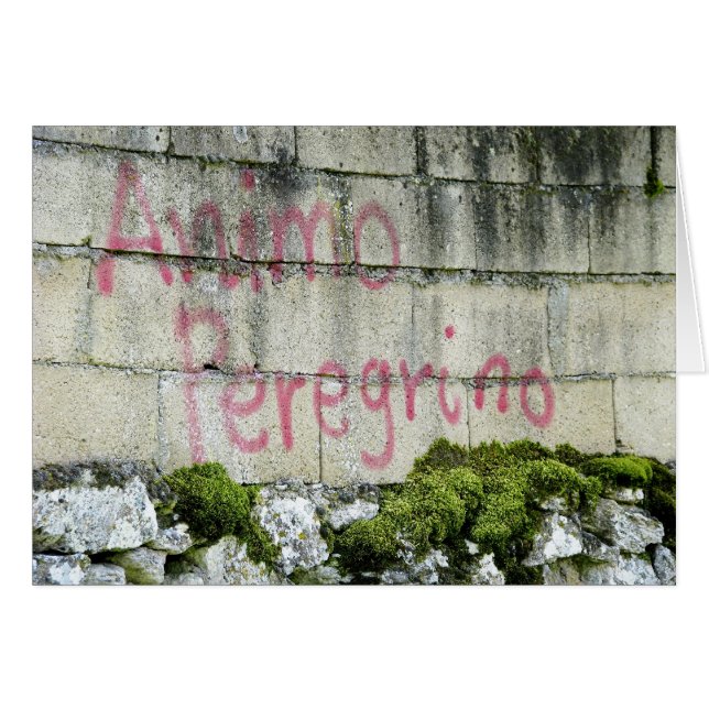 Animo Peregrino Karte (Vorderseite (Horizontal))