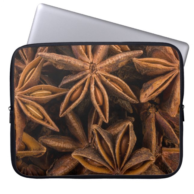 Anise Stars Laptopschutzhülle (Vorderseite)