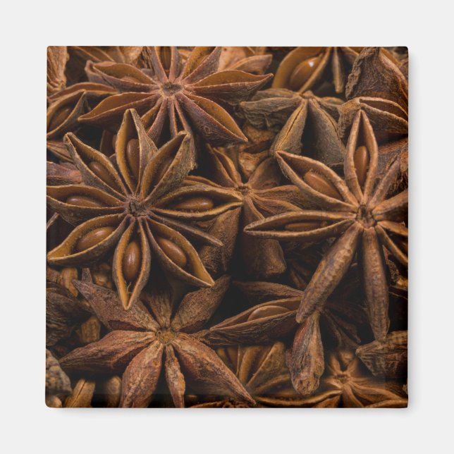 Anise Stars Magnet (Vorne)