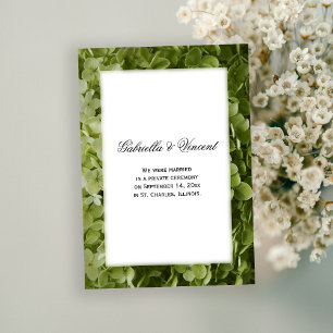 Ankündigung der Heirat der grünen Hydrangea-Blume