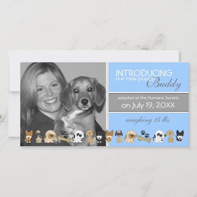 Ankündigung der neuen Adoption für Hunde (Vorderseite)