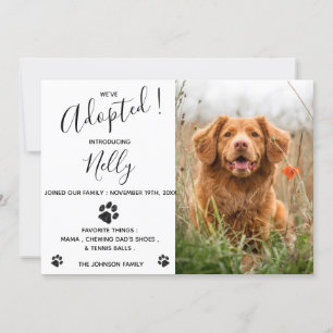 Ankündigung der neuen Hunde Katze