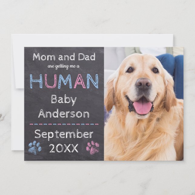 Ankündigung der Schwangerschaft von Hunden (Vorderseite)