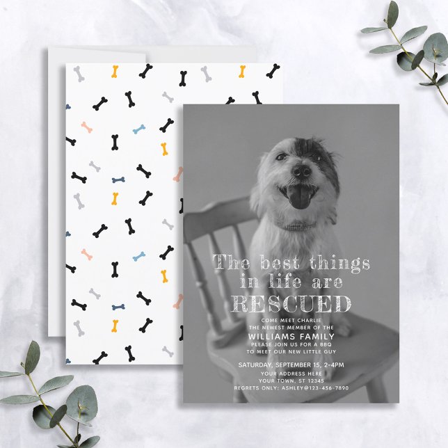 Ankündigung des Fotos "Retcuted Pet Adoption" (Von Creator hochgeladen)