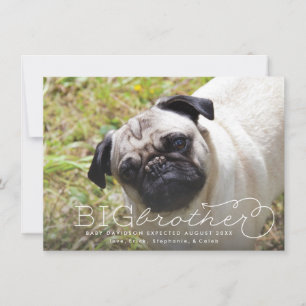 Ankündigung von Big Brother Foto Pet Pregnancy