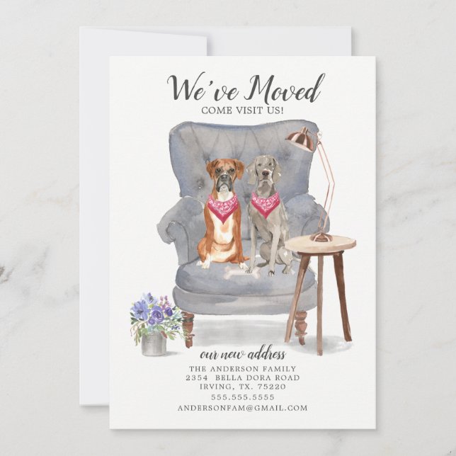 Ankündigung von Boxer- und Weimaraner-Hundentransa (Vorderseite)