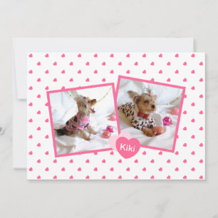 Ankündigung von Girly Pink New Pet Adoption