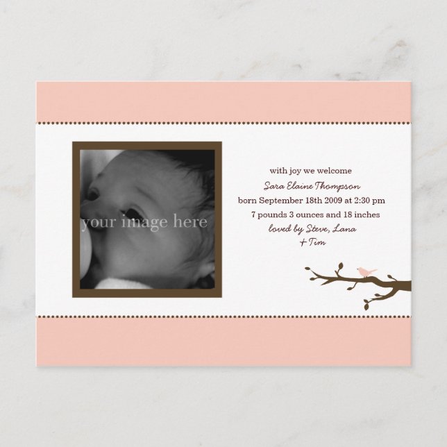 Ankündigung von Pink Bird Baby (Vorderseite)