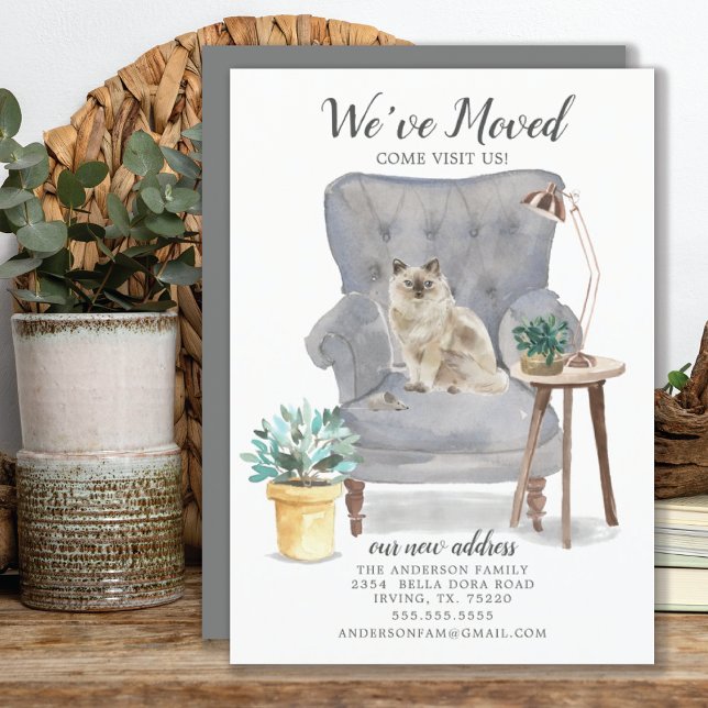 Ankündigung von Ragdoll Cat Moving (Von Creator hochgeladen)