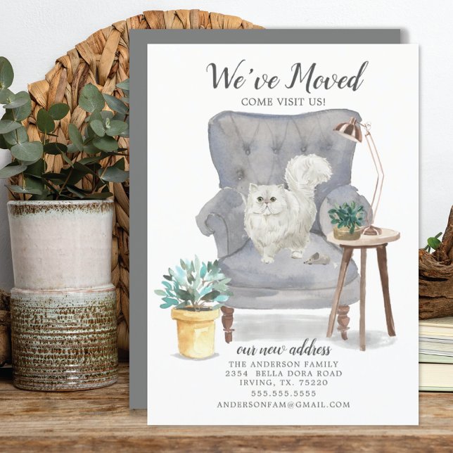 Ankündigung zur Bewegung von Persischen Katzen (Von Creator hochgeladen)