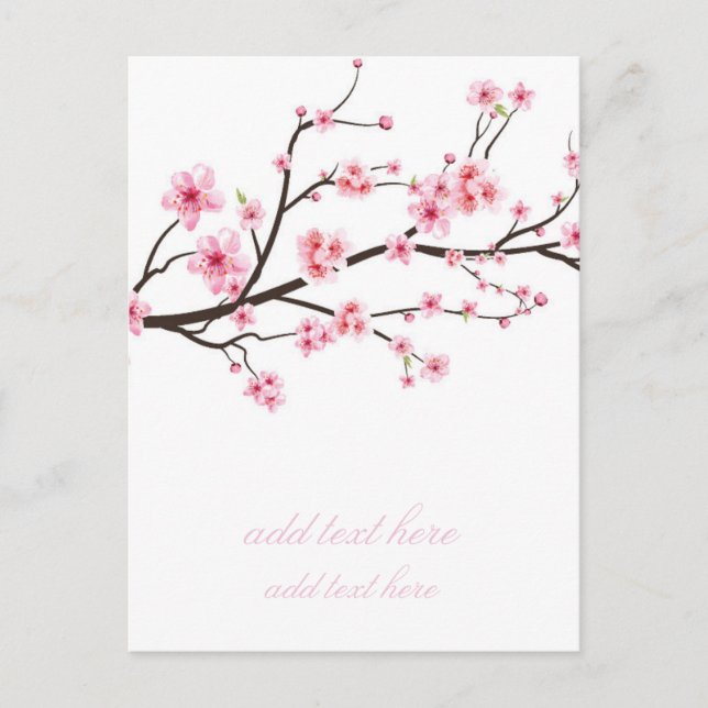 Ankündigungspostkarte: SAKURA BLOSSOMS Ankündigungspostkarte (Vorderseite)