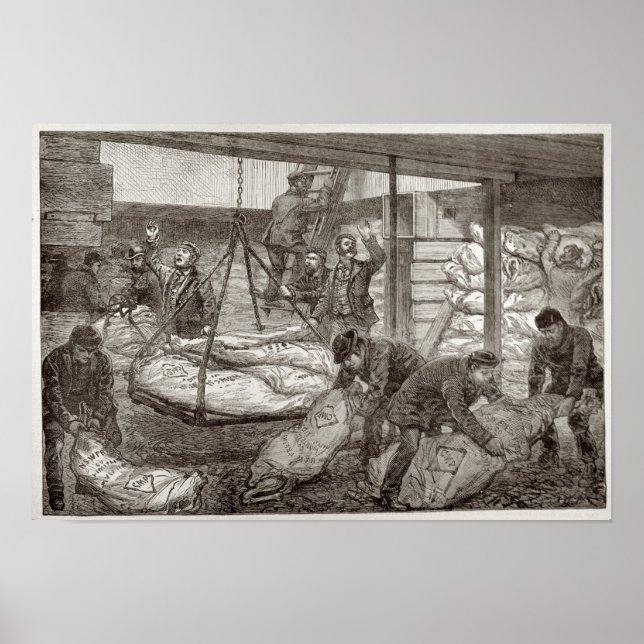 Anlandung von australischem gefrorenem Fleisch Poster (Vorne)