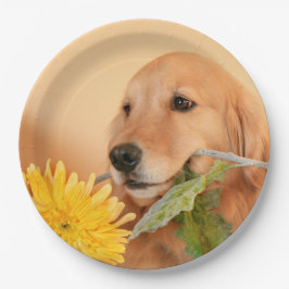 Anlass-goldener Retriever-Hund mit Blume Pappteller