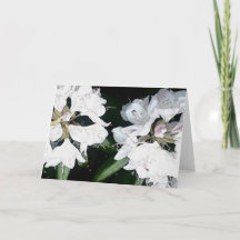 Anlass-Gruß-Karte (freier Raum nach innen)