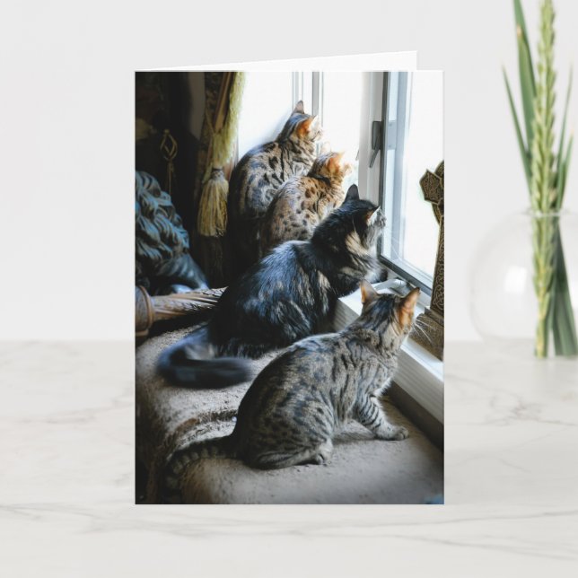 Anlass-Gruß-Karte - Katzen am Fenster Karte (Vorderseite)