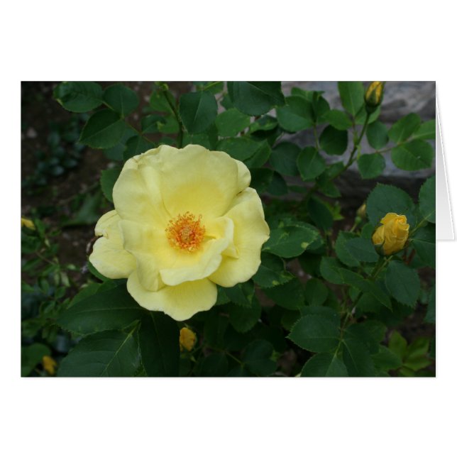 Anlass-Karte (Vorderseite (Horizontal))