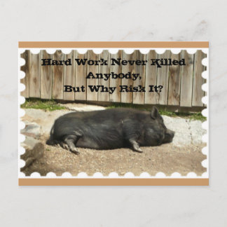 Anlass-Postkarte mit Topf aufgeblähtem Schwein Postkarte