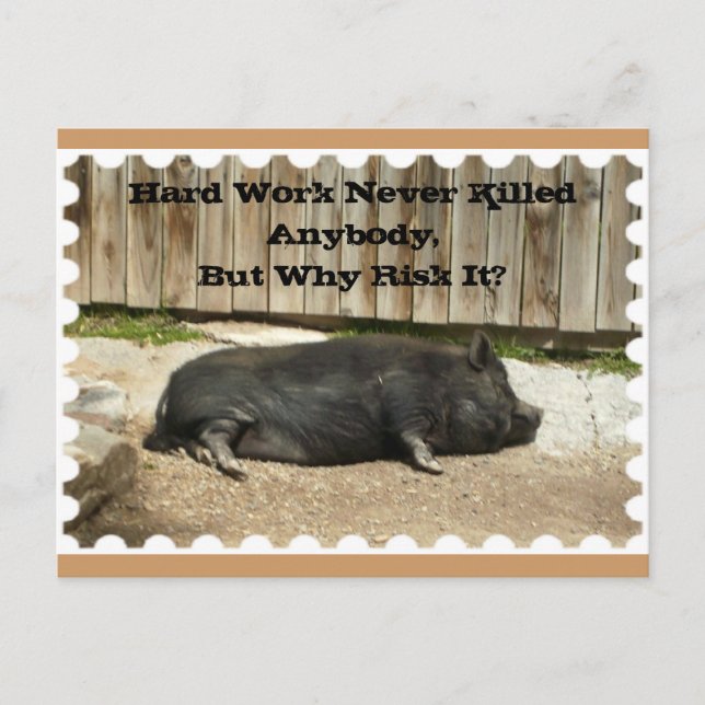 Anlass-Postkarte mit Topf aufgeblähtem Schwein Postkarte (Vorderseite)
