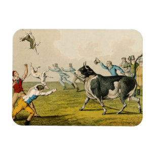 "Anlockender Stier", Kneipe. durch Thomas McLean, Magnet