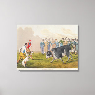 "Anlockender Stier", pub.by Thomas McLean, 1820, Leinwanddruck