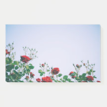 Anmerkungen abschicken