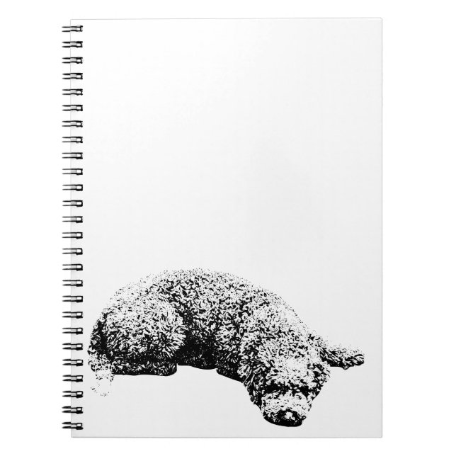 Anmerkungen des Fensters Notizblock (Vorderseite)