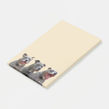 Anmerkungen zu Pitbulys