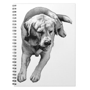 Anmerkungen zu Retriever - Calm & Bold Notizblock