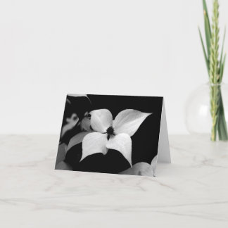 Anmerkungs-Karte - B/W Hartriegel Dankeskarte