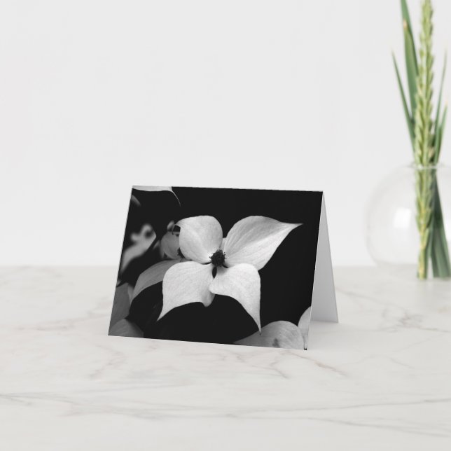 Anmerkungs-Karte - B/W Hartriegel Dankeskarte (Vorderseite)