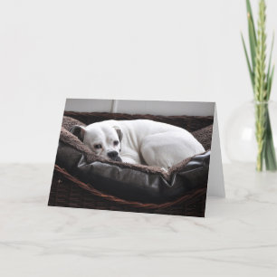 Anmerkungs-Karte: Boxerhund Karte