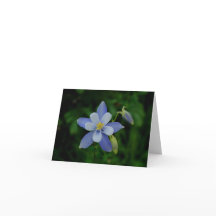 Anmerkungs-Karte Colorados Columbine