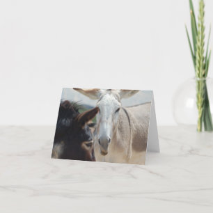 Anmerkungs-Karte Karte