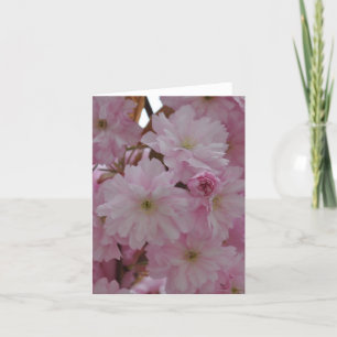 Anmerkungs-Karte: Kirschblüten Karte