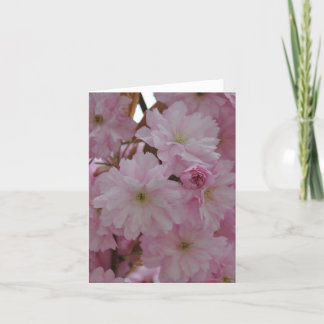 Anmerkungs-Karte: Kirschblüten Karte