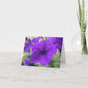 Anmerkungs-Karte, lila Petunie-Blume, leer Karte
