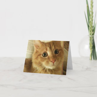 Anmerkungs-Karte mit niedlicher Katze Karte