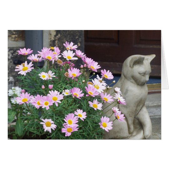 Anmerkungs-Karte: Rosa Gänseblümchen Karte