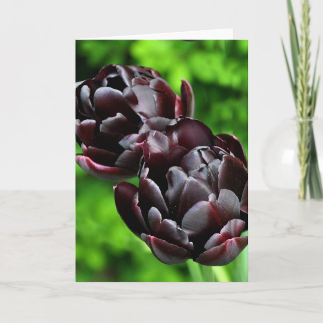 Anmerkungs-Karte: Tulpen Karte (Vorderseite)