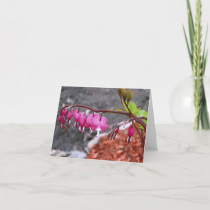 Anmerkungs-Karten-, rosa u. weißeHerz-Blumen Karte